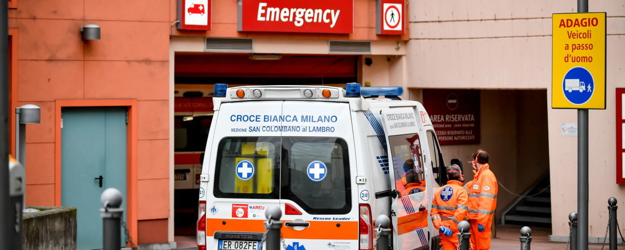 Giovane mamma muore dopo la puntura di un ragno violino