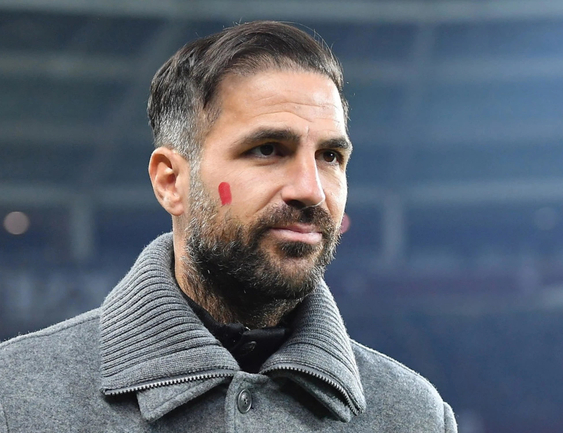 Como-Milan, lo sfregio di Cesc Fabregas all'Italia: "Qui piace tanto"