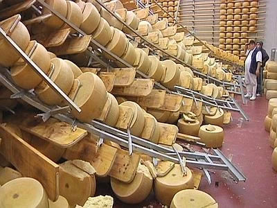 Boom di richieste per le forme di parmigiano danneggiate dal terremoto