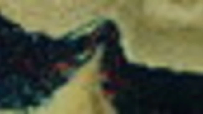 Iran, tregua prorogata ma Hormuz resta il nodo decisivo