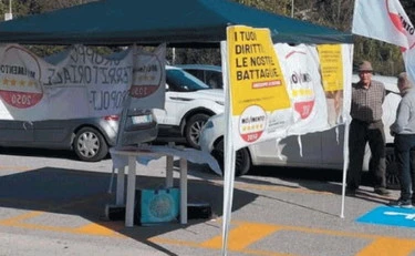 Grillini in sosta sullo stallo disabili