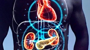 Coronavirus, rischio danni con il virus per i reni. La scoperta scientifica
