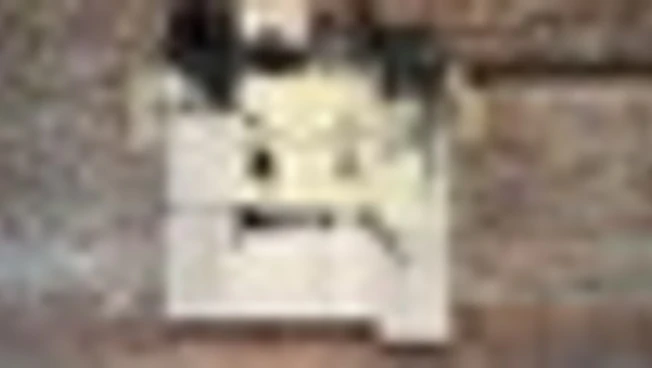 Punta della Dogana, le storie di Lorna Simpson e Paulo Nazareth