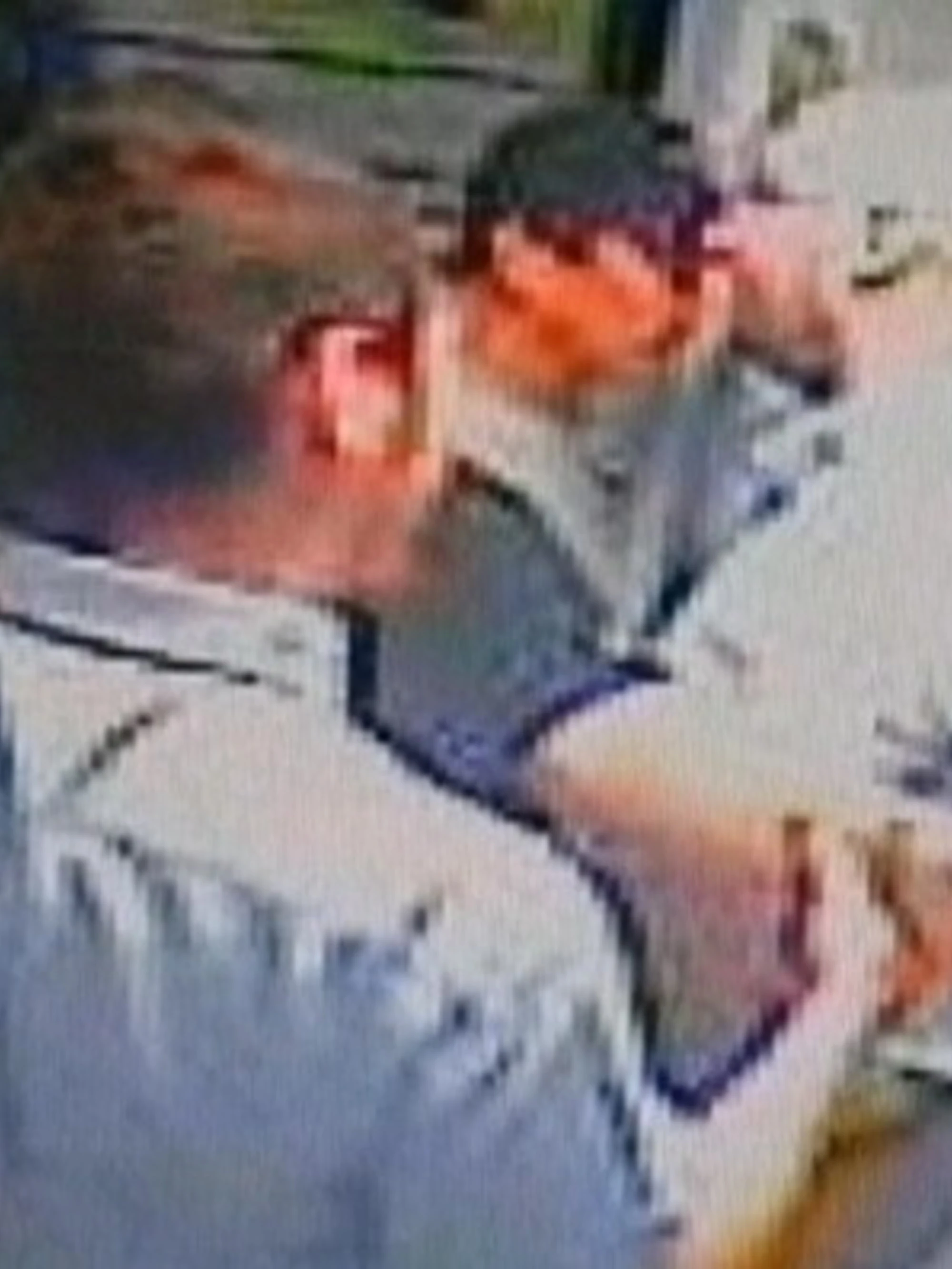 Treno Bozzolo-Milano, "biglietto prego"? L'orrore: chi massacra il capotreno