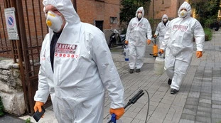 Coronavirus, l'Oms su aglio e zanzare: tutta la verità sul rischio contagio, come stanno le cose
