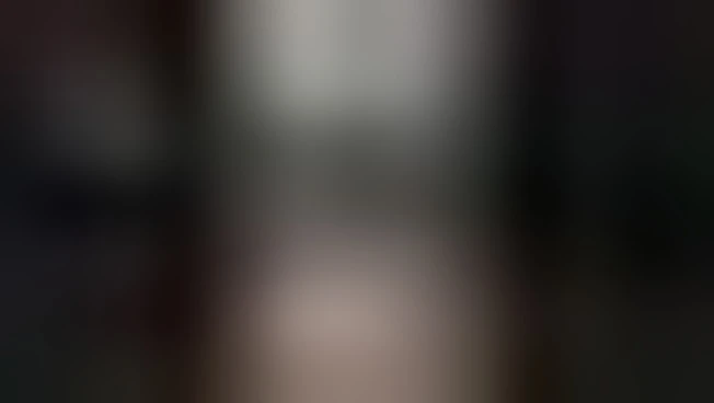 Scoperto un canile abusivo con barboncini toy venduti anche su TikTok