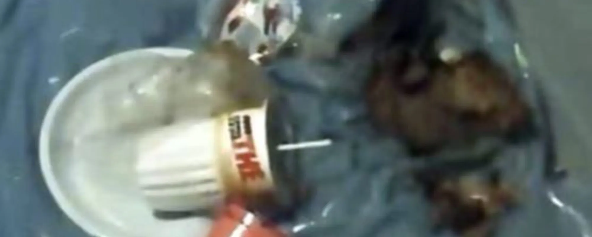 In questa foto c'è la soluzione del rebus di Garlasco: ecco perché