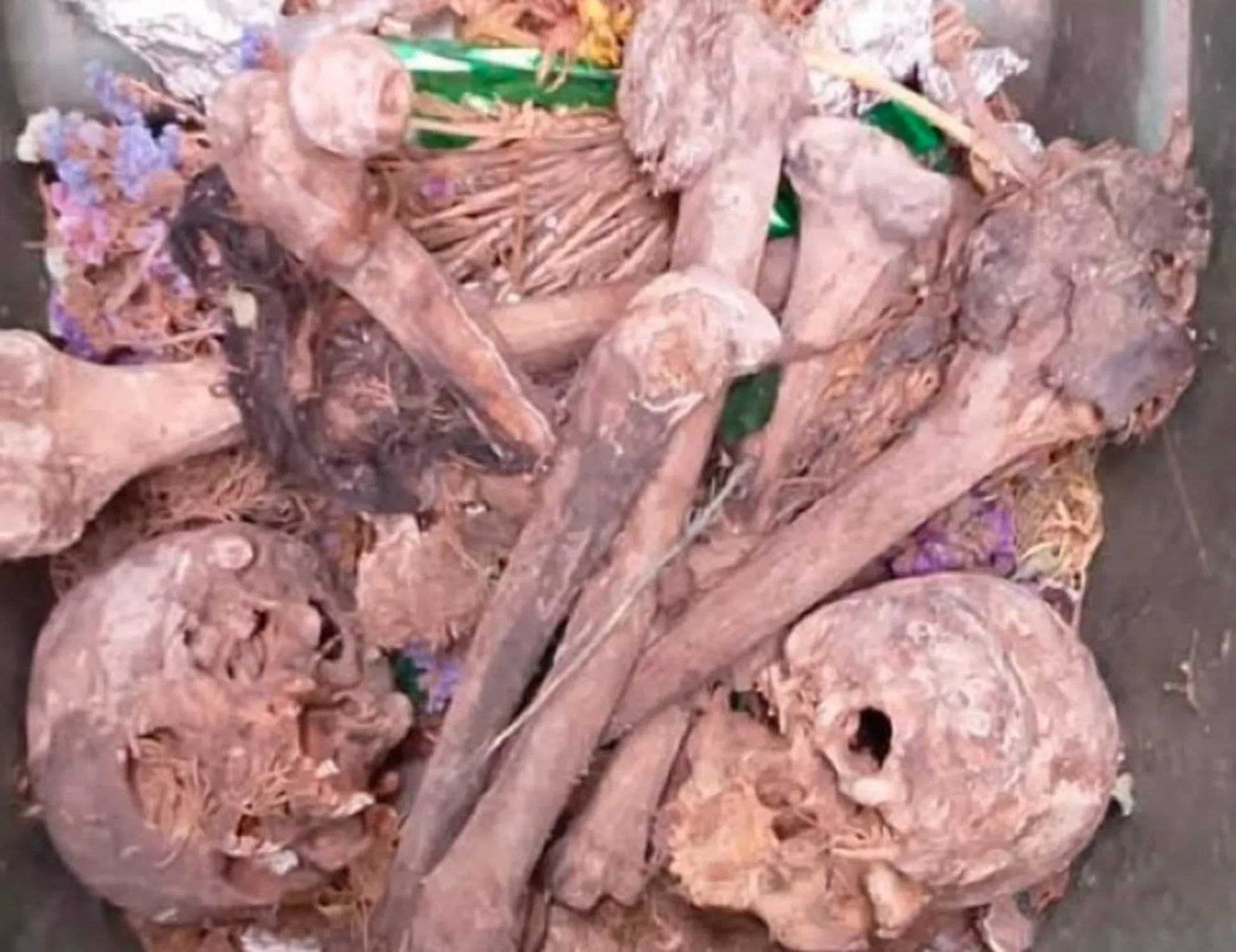 Leggi l'articolo: "I nostri defunti meritano dignità": dove finiscono le ossa al cimitero