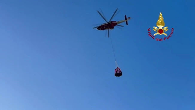Recuperato con elicottero dai Vigili del fuoco cavallo bloccato nel fango