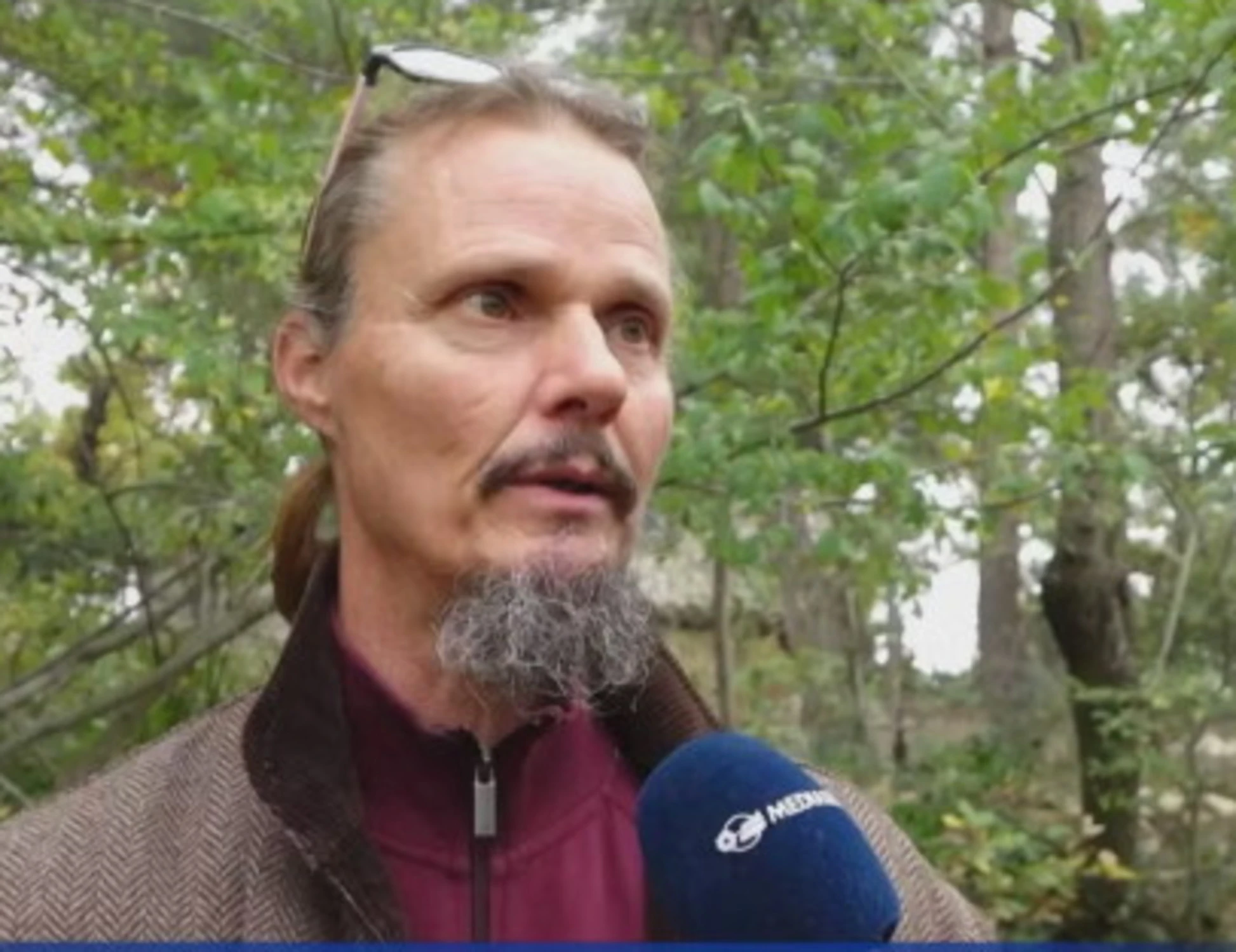 Bosco è la parola della settimana