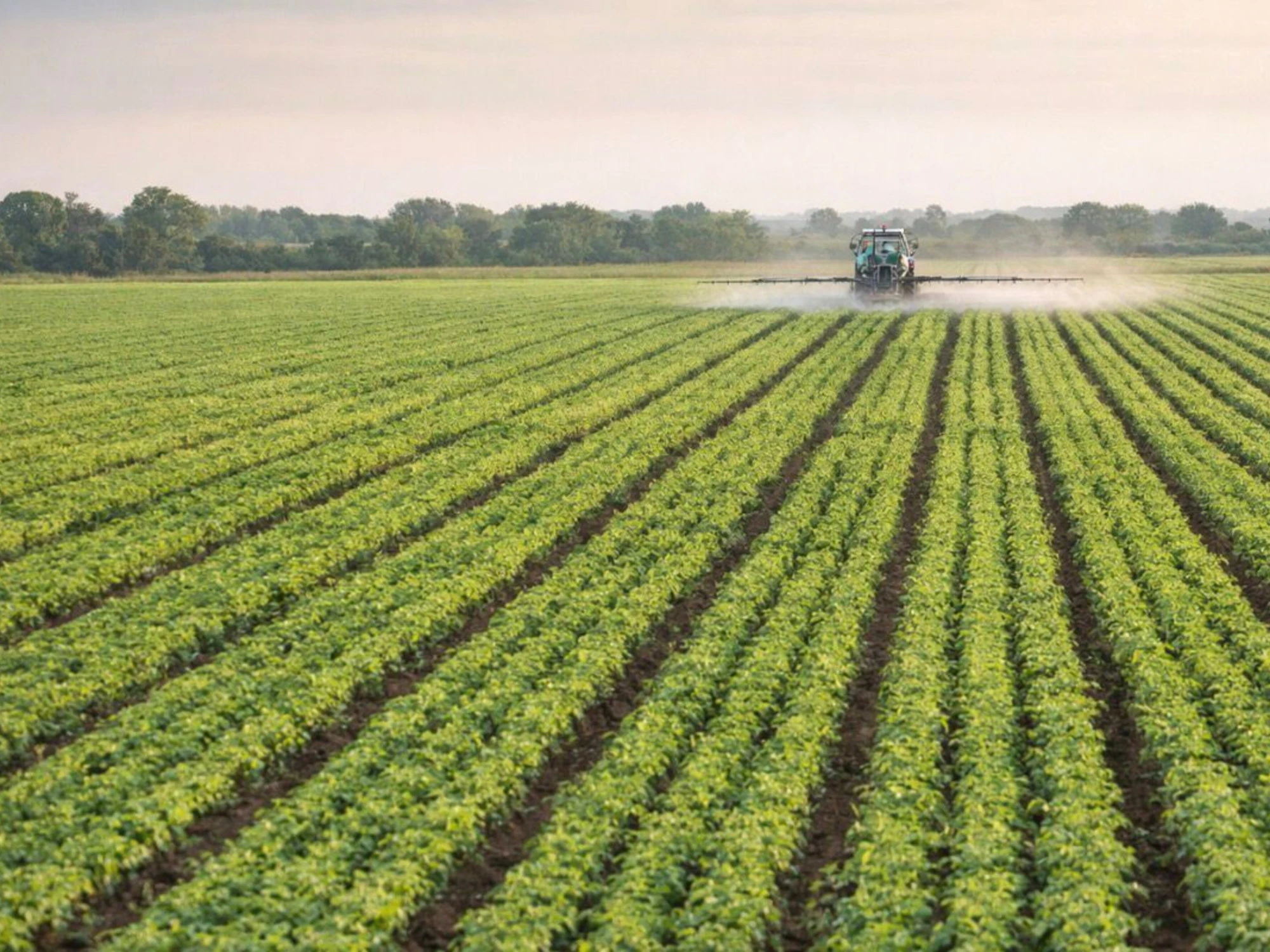 Istituto Friedman: no a nuove sanzioni UE sui fertilizzanti, sono distruttive