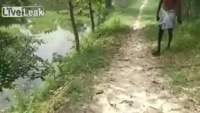 480x264