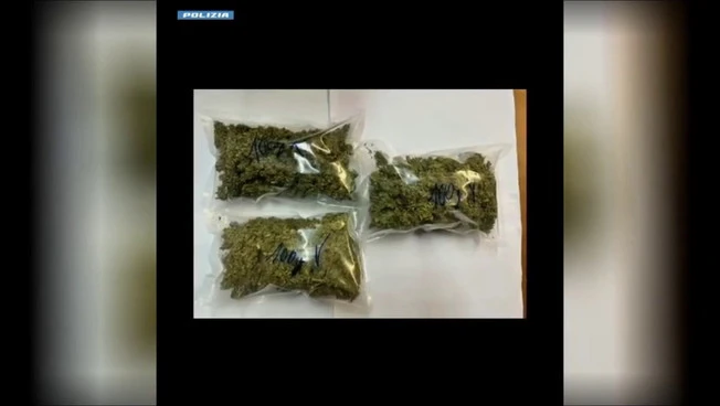 Protidrogalski blitz med Abruzzom, Lacijem in Puglio: izdanih 12 ukrepov