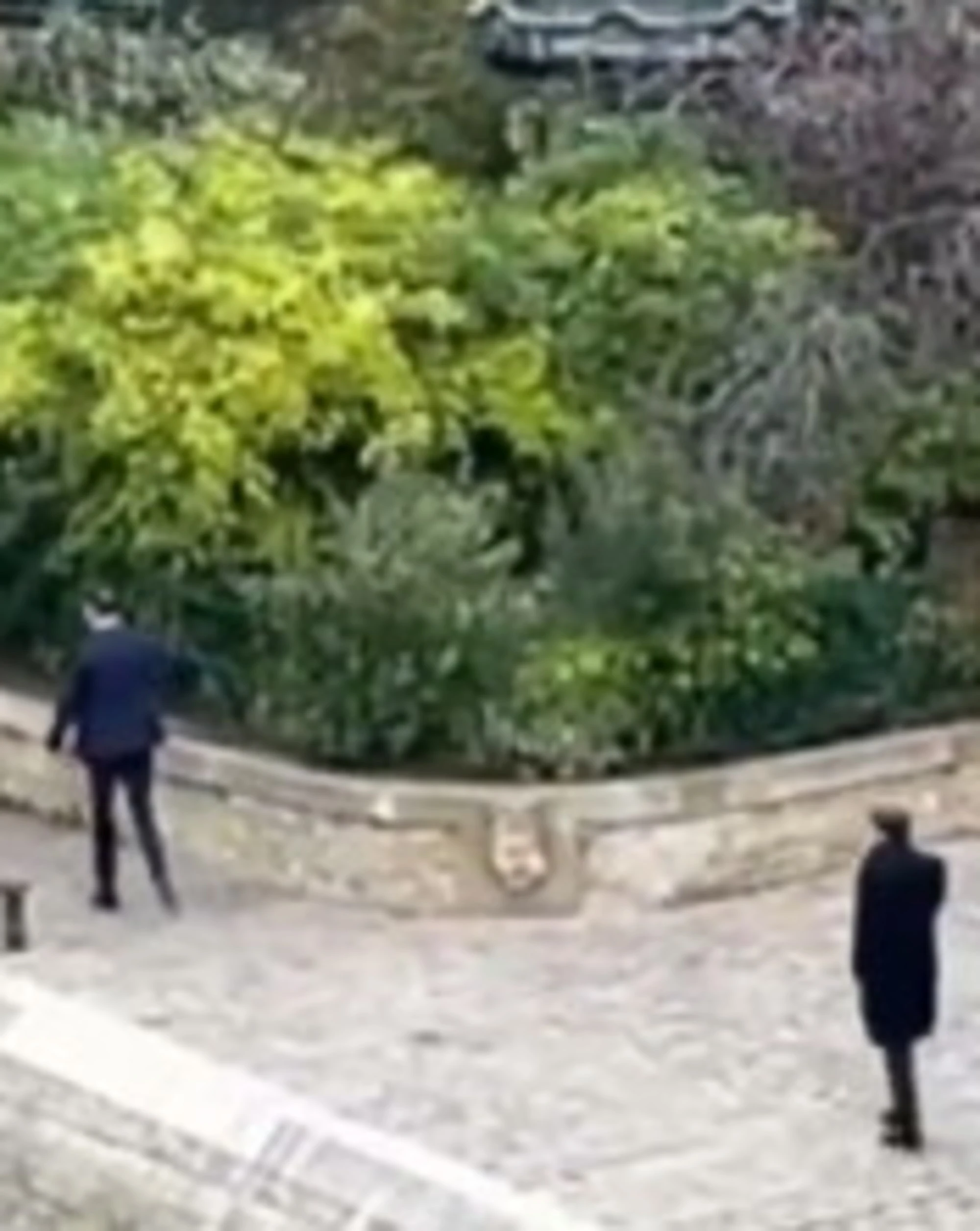 Dimissioni Lecornu, Macron disperato: come lo sorprendono fuori dall'Eliseo