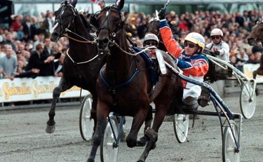 Varenne, è morto il cavallo mito del trotto: dai 2 Grande Slam alla "pensione" da stallone