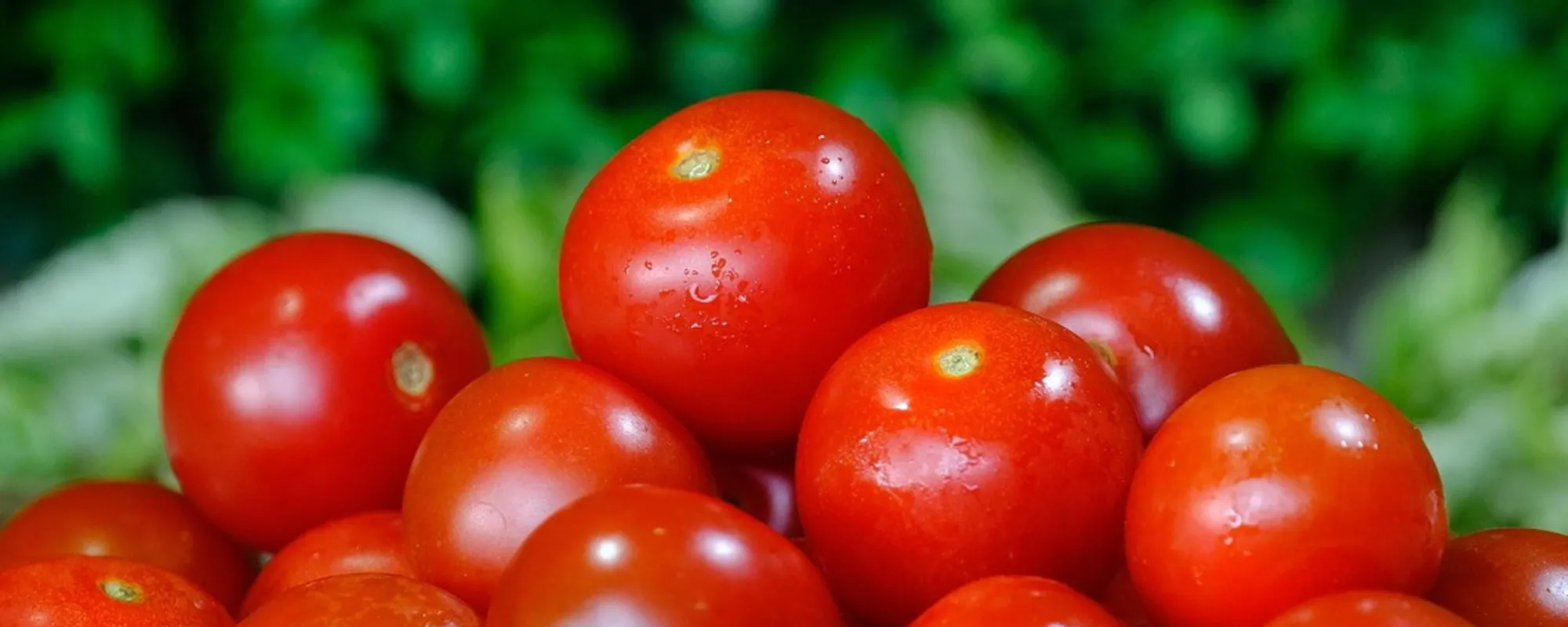 Pomodoro, l'effetto sui muscoli del cuore: cosa devi sapere