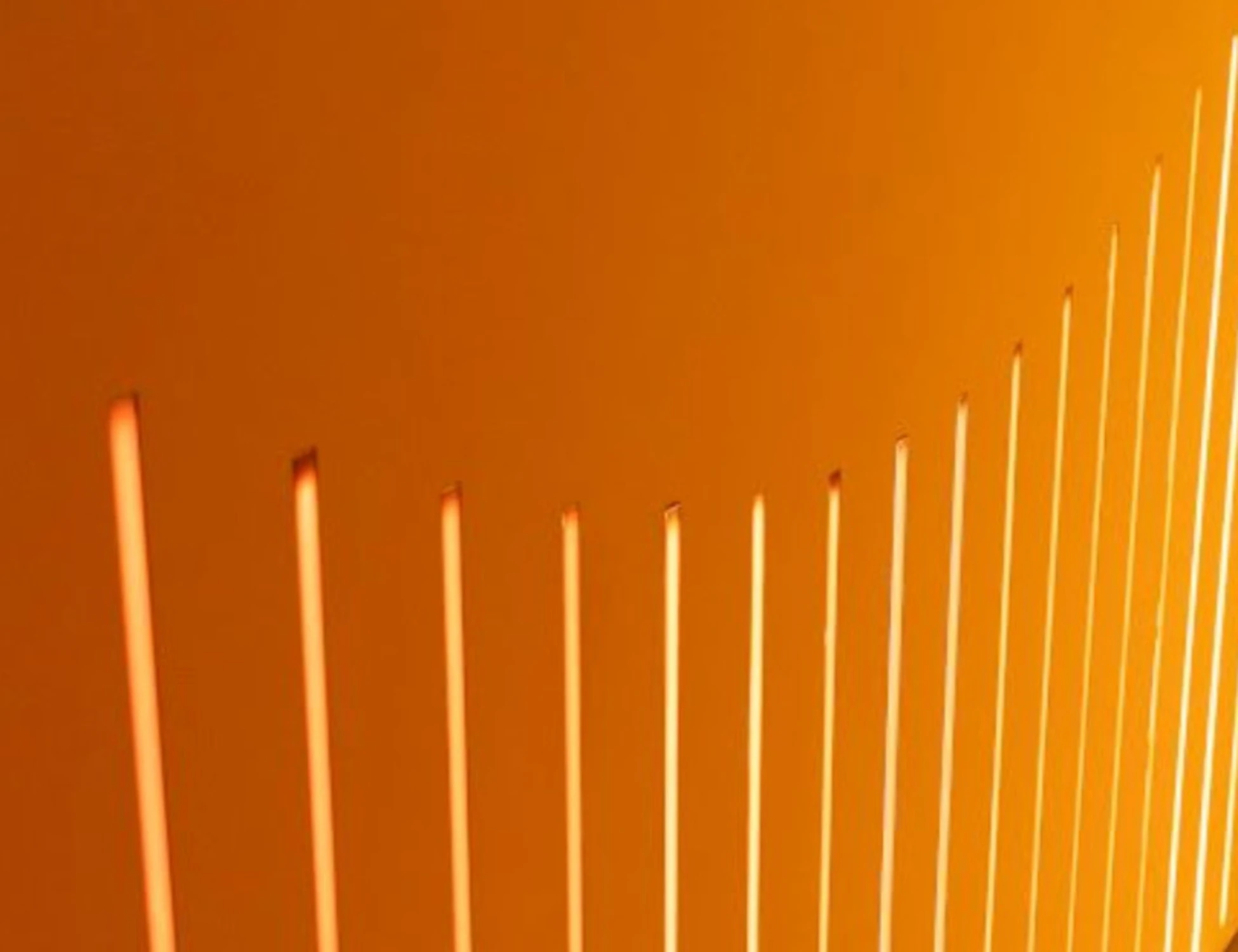 Ploom, l'installazione immersiva che risveglia i sensi