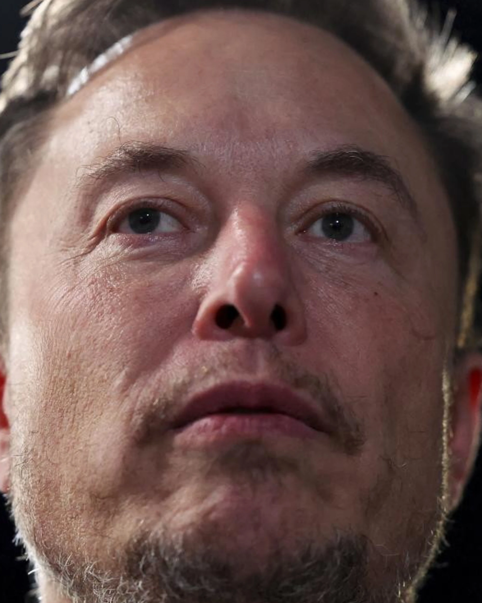 Elon Musk, "Tesla vuole cacciarlo": un terremoto. Ma poi...