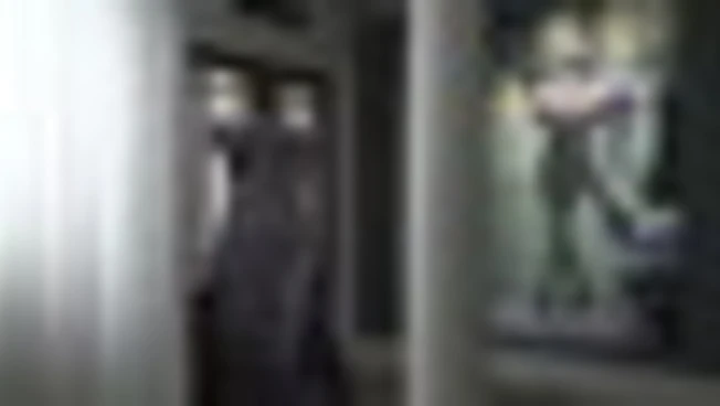 L'abito della "vendetta" di Lady D. esposto a Londra prima dell'asta