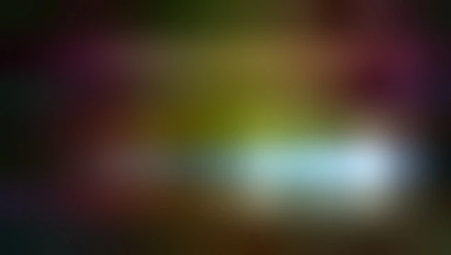 https://media.liberoquotidiano.it/fnirBRzC9LAYEpUH7qmfJXoYBE1mbhck2VT94KpUIHY/width:800/quality:90/aW1hZ2VzLzIwMjYvMTAvMDIvMTA0MzM3NzAzLTM1MTM3ZWZhLTllYzItNDk4Mi04NGU3LTVmMDM1YTU5ODI1NS5qcGc.webp
