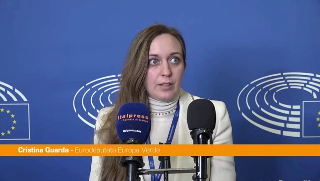 Mercosur, Guarda "Clausole di facciata per rendere l'accordo digeribile"