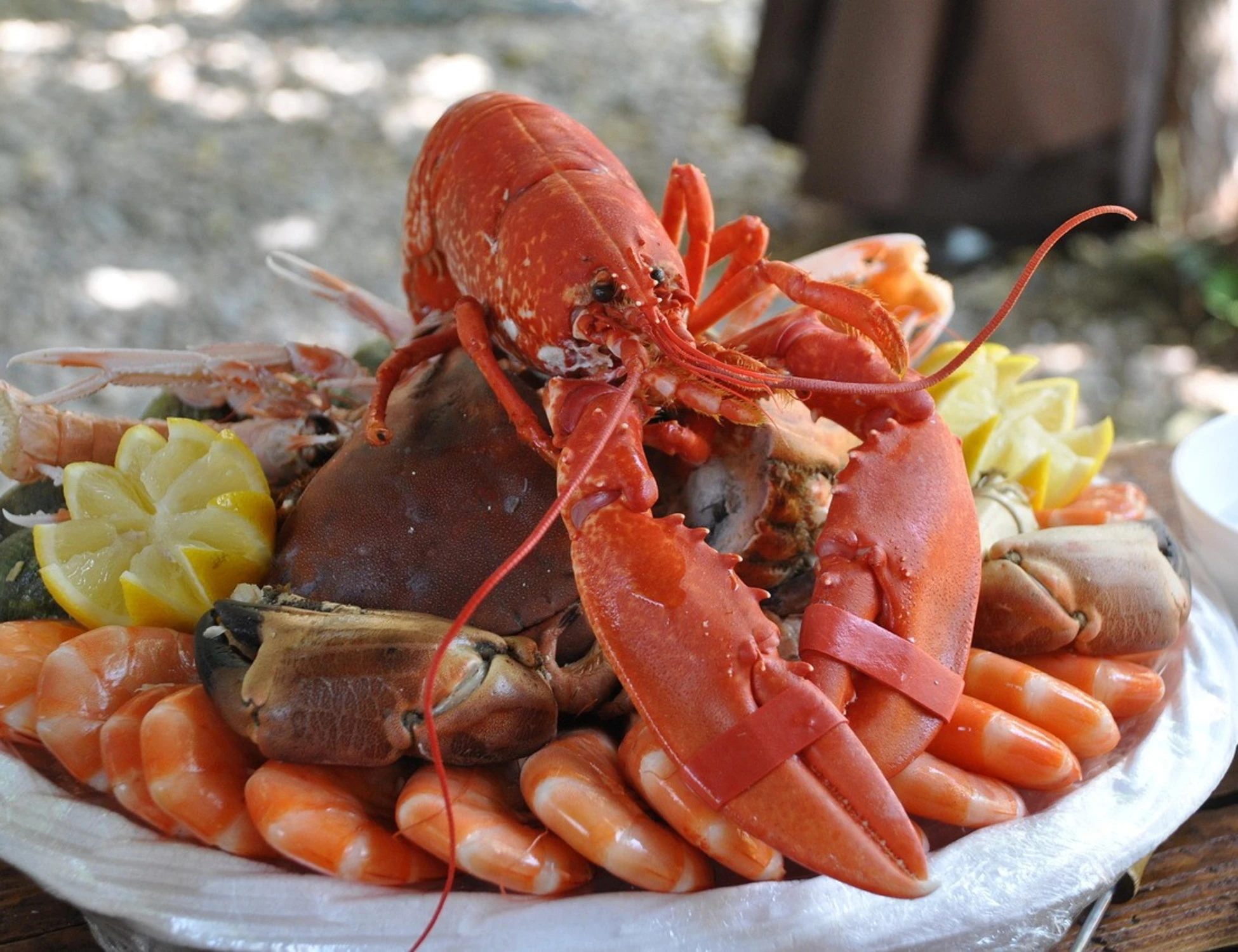 Selenio, il fattore fondamentale per il corpo di cui nessuno parla