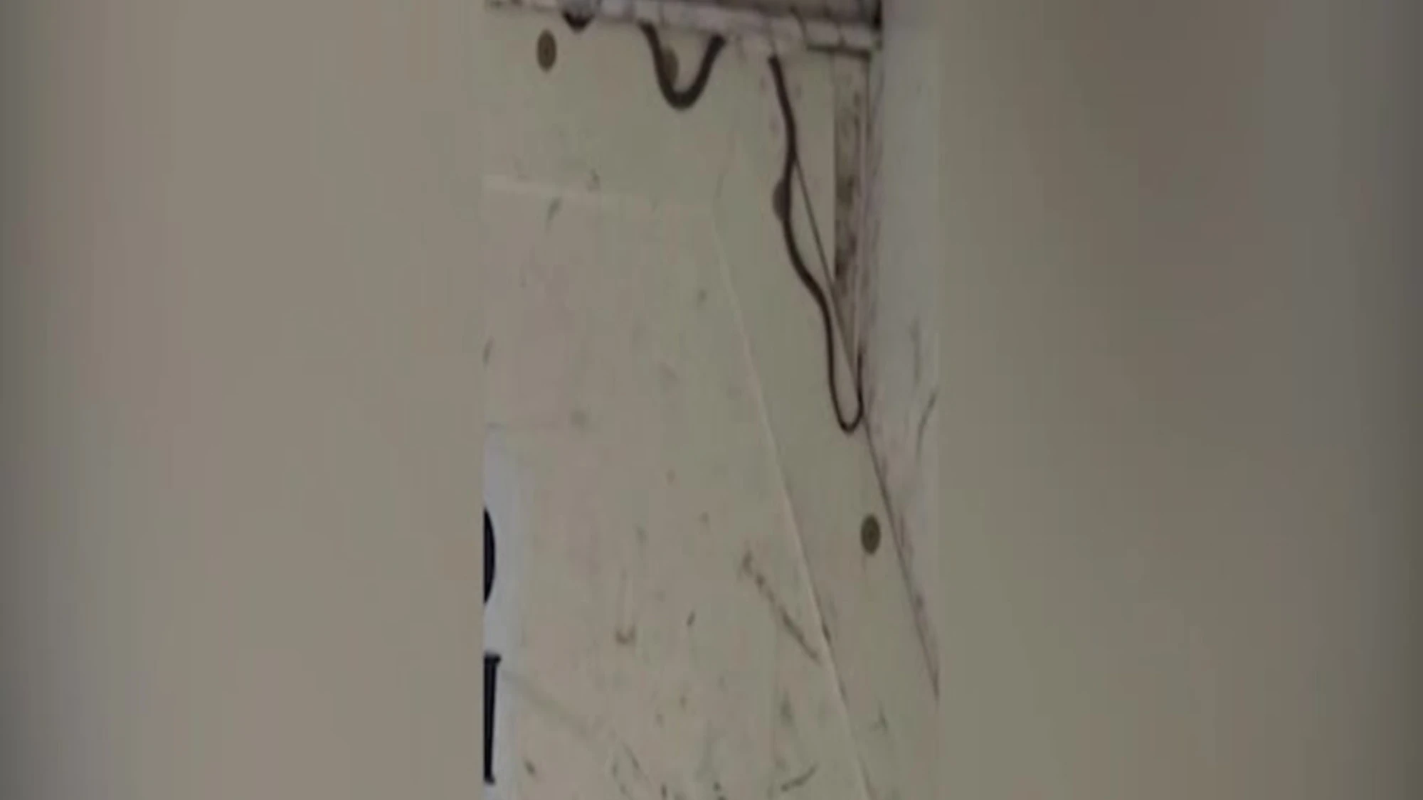 720x576