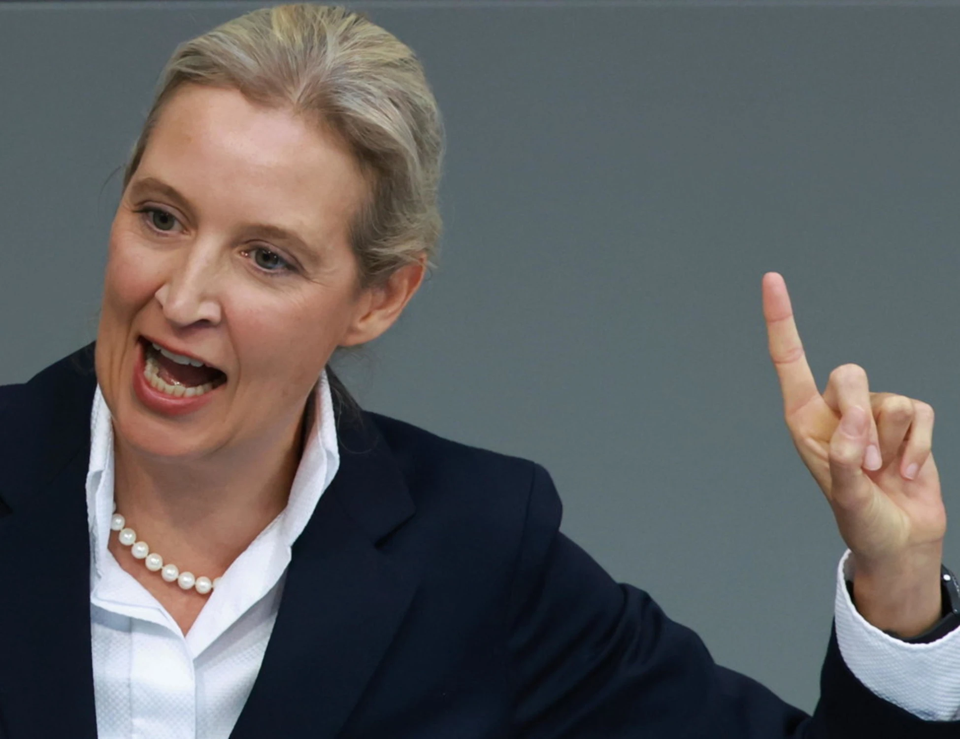 Germania, il sondaggio che terremota l'Europa: dove vola AfD