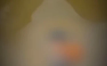 404x274