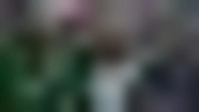 https://media.liberoquotidiano.it/g5aBv86CCxvokQjea2u_jNNJ-paBoZ-g5XrVyl4me_I/width:800/quality:90/aW1hZ2VzLzIwMjYvMDYvMTIvMDgxMDI0MDYxLTc3ZTEzZDM3LTE0MDQtNDI0MS1iMWE1LWUyZWJmM2NiY2IxNS5qcGc.webp