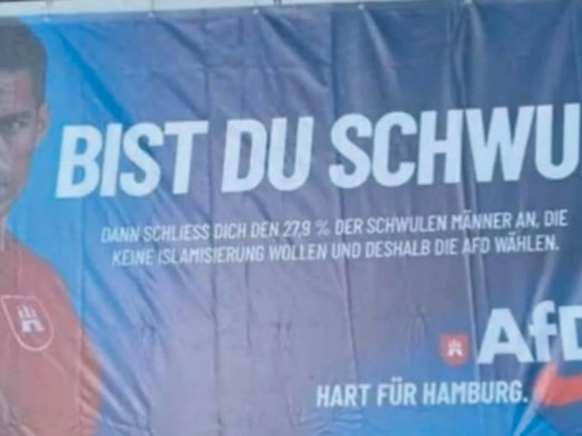 Il manifesto dell'Afd che fa impazzire la sinistra <span style="color: rgb(153, 0, 0);">Guarda</span>