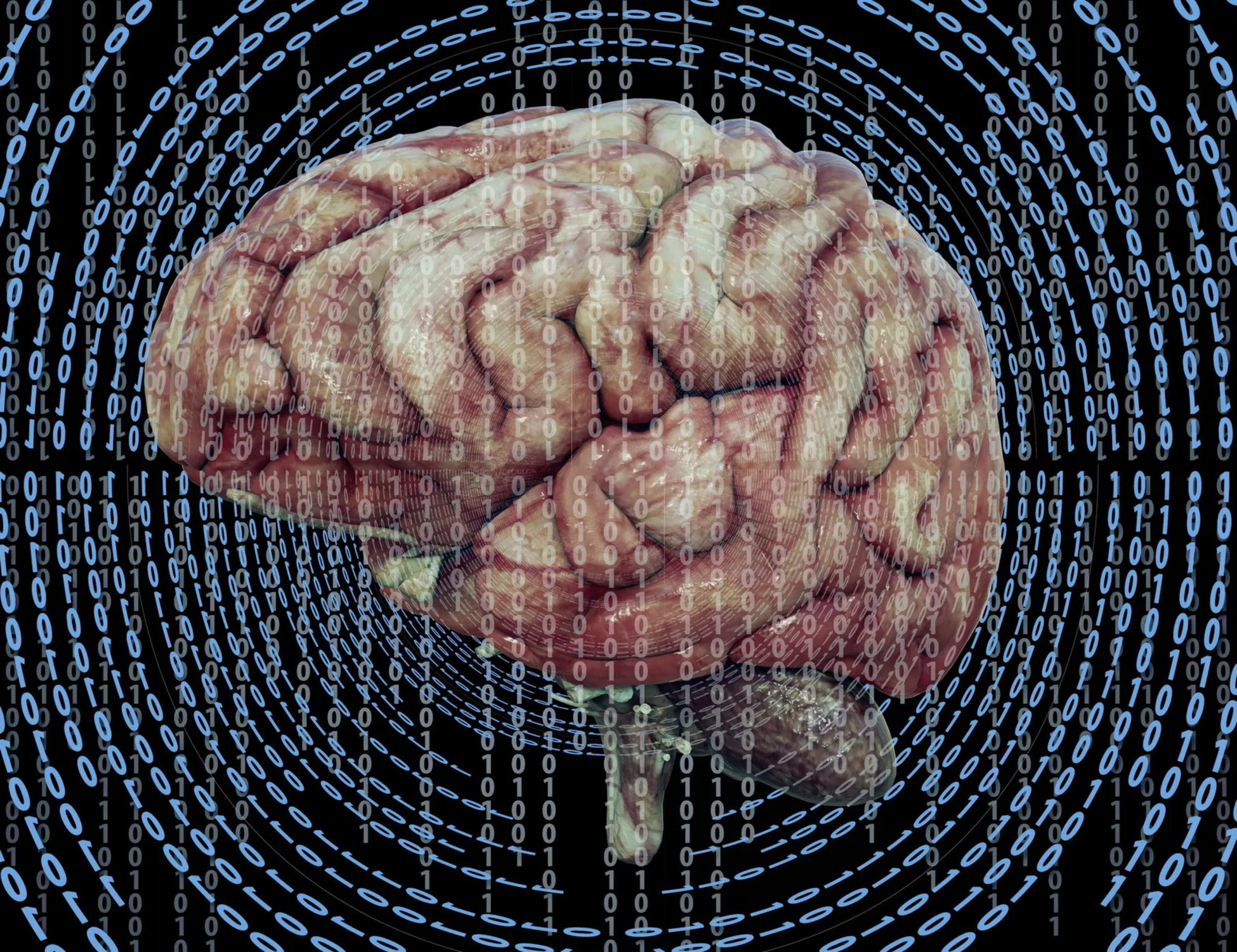 Leggi l'articolo: Demenza, l'ottimismo protegge il cervello: gli effetti concreti