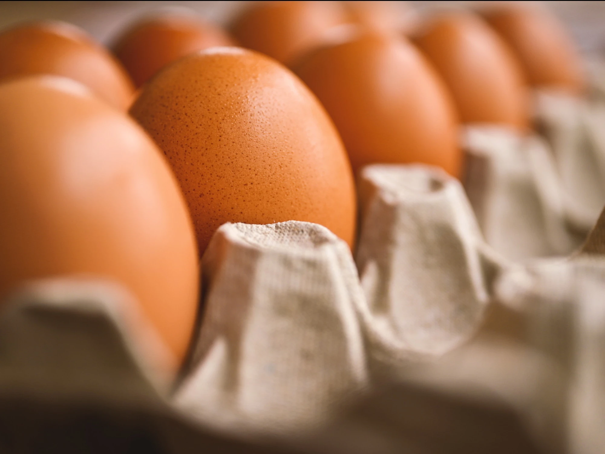 Uova, rischio salmonella: il celebre prodotto ritirato, ecco cosa evitare