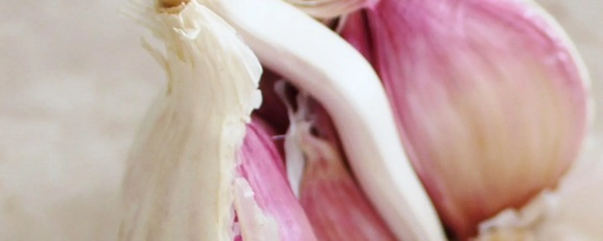 Aglio, il "miracolo" dell'allicina: virus e batteri, gli effetti