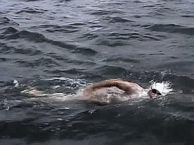Attraversa la Manica a nuoto per beneficenza, muore al traguardo