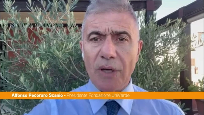https://media.liberoquotidiano.it/gKCsr4csbSKI8Qjxv4R4ajO4xOIvtAQ8GteijinbePY/width:800/quality:90/aW1hZ2VzLzIwMjUvMTAvMTAvMTc1MDM1NTkxLWQxZWZkYTUxLTE3ZjQtNDViMS1hYTE5LWI5MjM2YWQ5N2VlYS5qcGc.webp