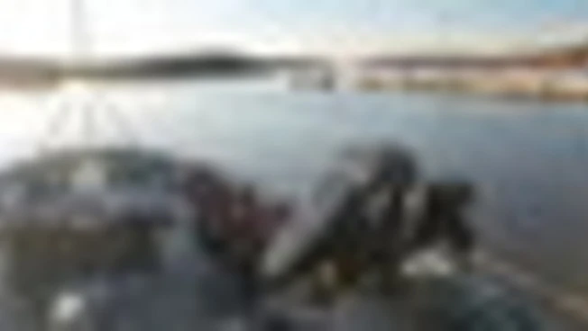 Freezing Winds, Nato rafforza la sicurezza marittima nel Mar Baltico