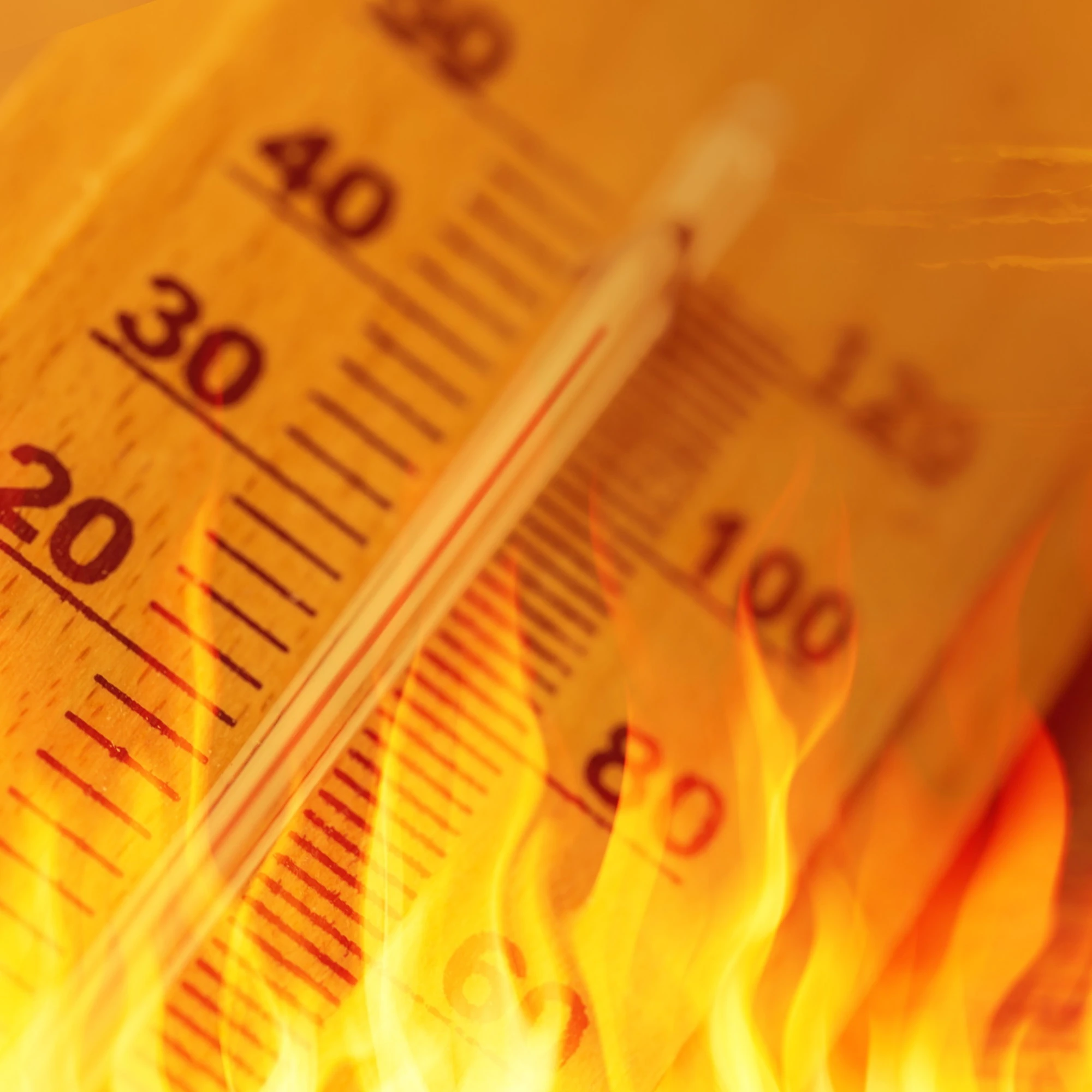 Meteo, &quot;morti di caldo&quot;: quelle cifre sparate&nbsp;