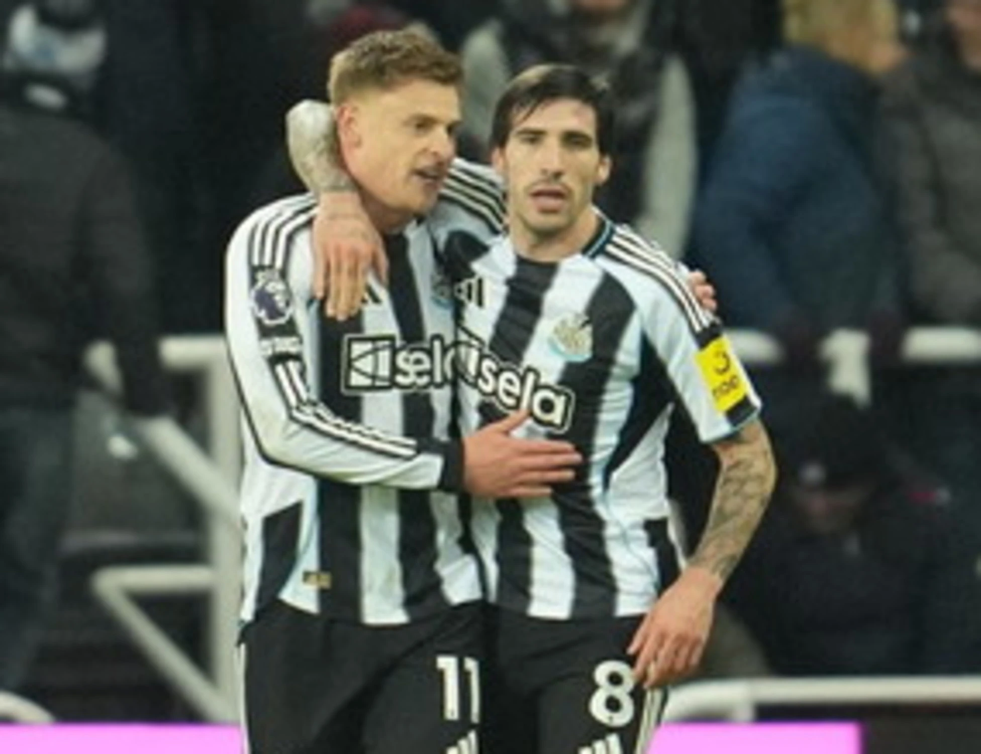 Juventus su Tonali, pista caldissima: i dettagli di un colpo da scudetto