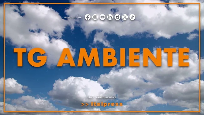 Tg Ambiente - 1/3/2026