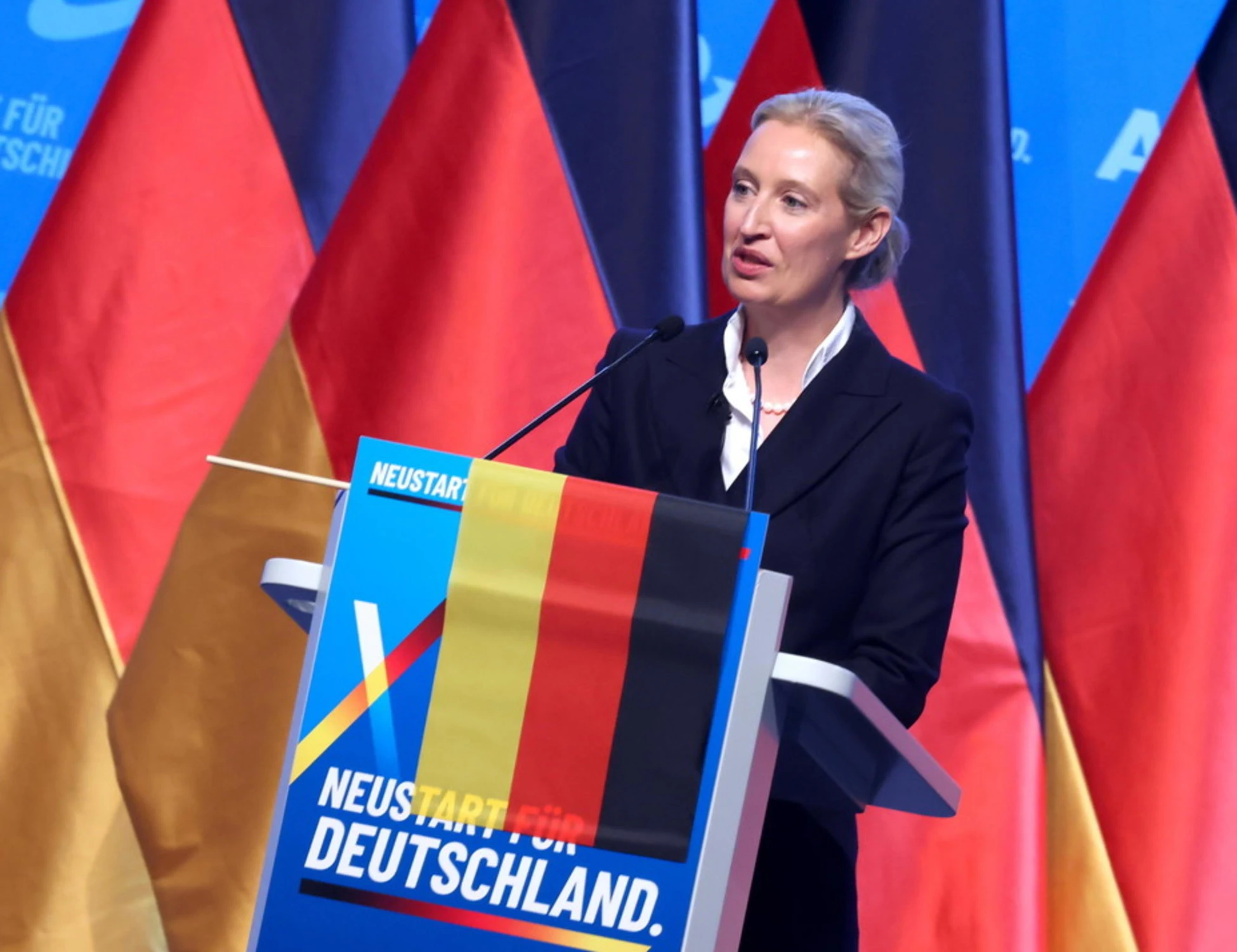 Afd vola in Germania? L'opposizione risponde col porno e masturbandosi