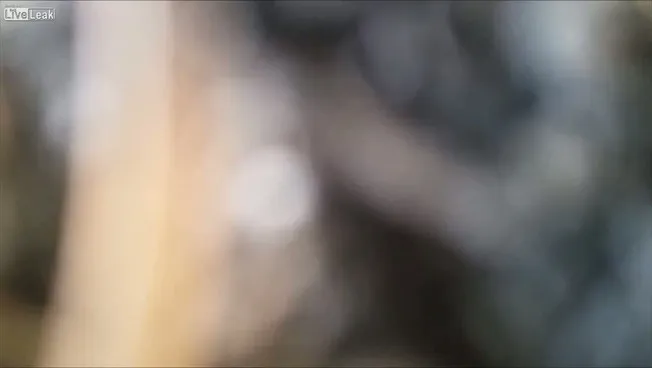 1280x720