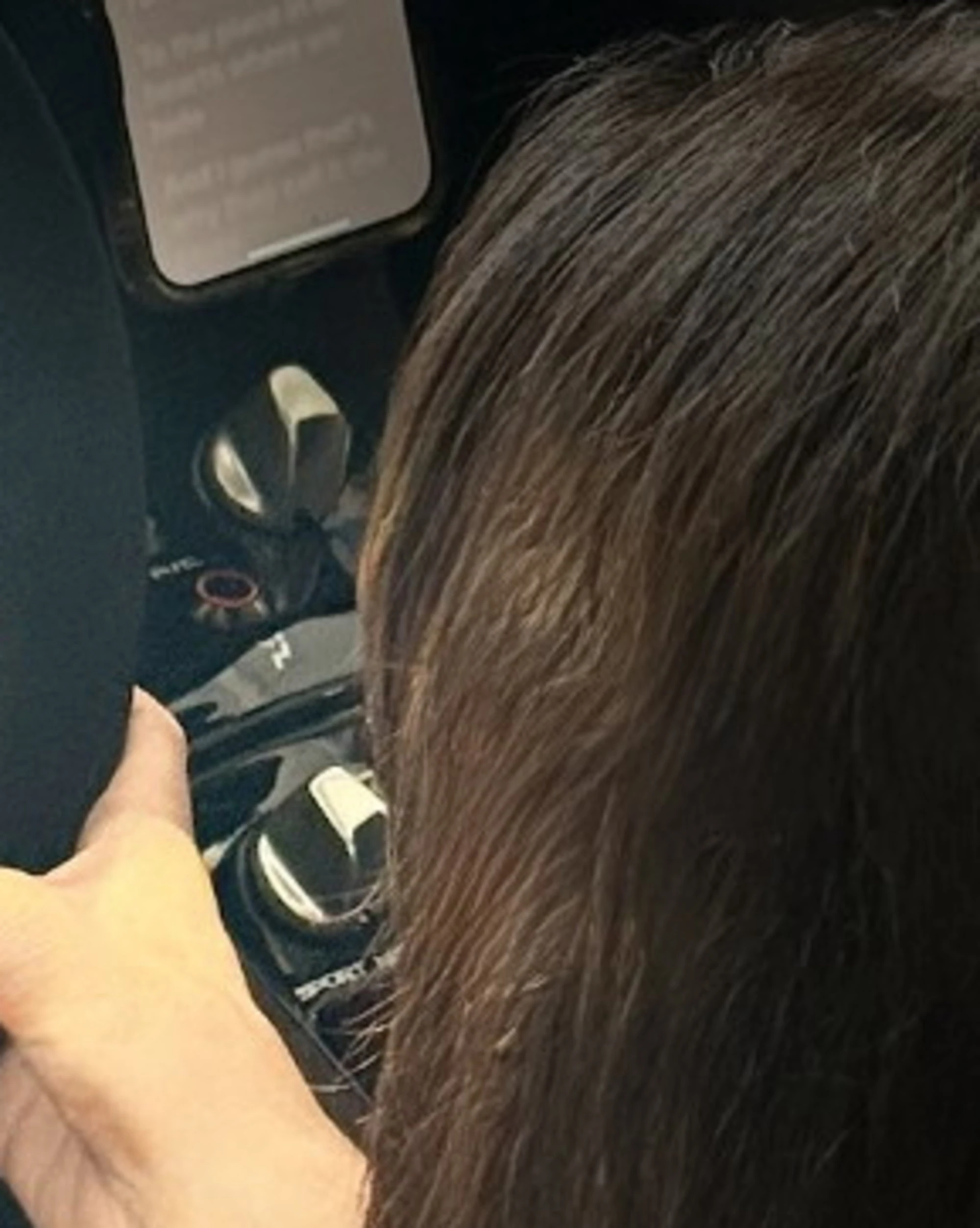 Elisabetta Franchi travolta dalle critiche per questa foto: "Basta!"
