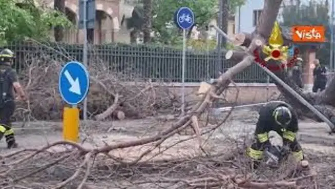 Leggi l'articolo: Oltre 1.200 interventi dei Vigili del Fuoco per il Maltempo al Centro Nord nelle ultime 24 ore