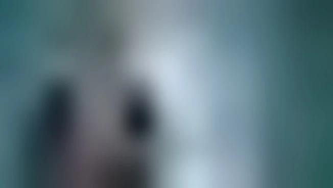 Rai Com, a "Screenings" di Assisi più di 90 buyer internazionali