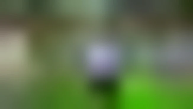 https://media.liberoquotidiano.it/gjb8JiQAOOiq1M5777bEs6y_umrfCGvtQtvY0ca4y9c/width:800/quality:90/aW1hZ2VzLzIwMjYvMDUvMjkvMTYxOTI1Mzc1LWU5OWQ4ZmIzLTNiNjEtNDAyNy04ZmFmLTMxZGMxYmExNzQyOS5qcGc.webp