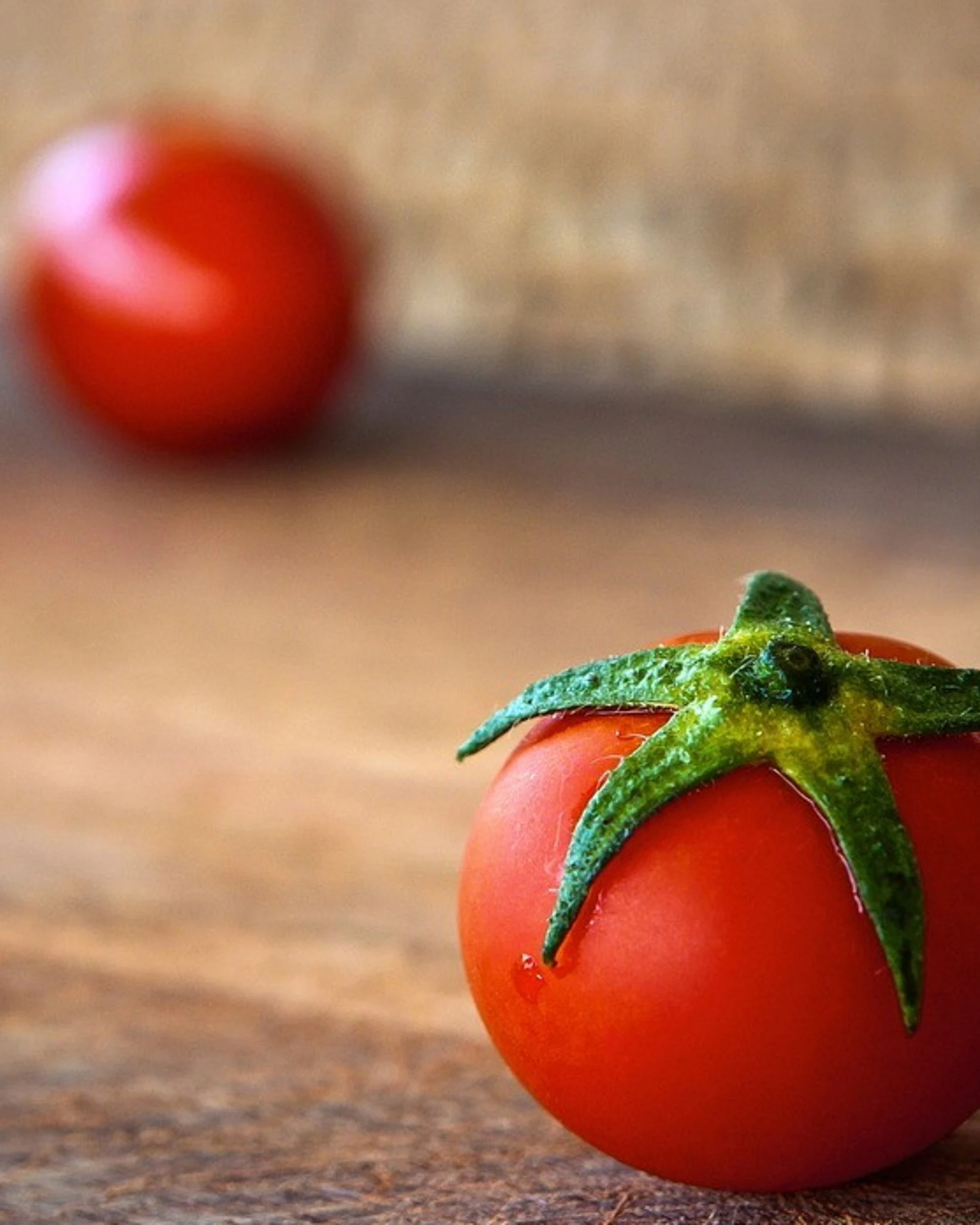Italia patria pomodori: ecco cosa ci arriva in tavola