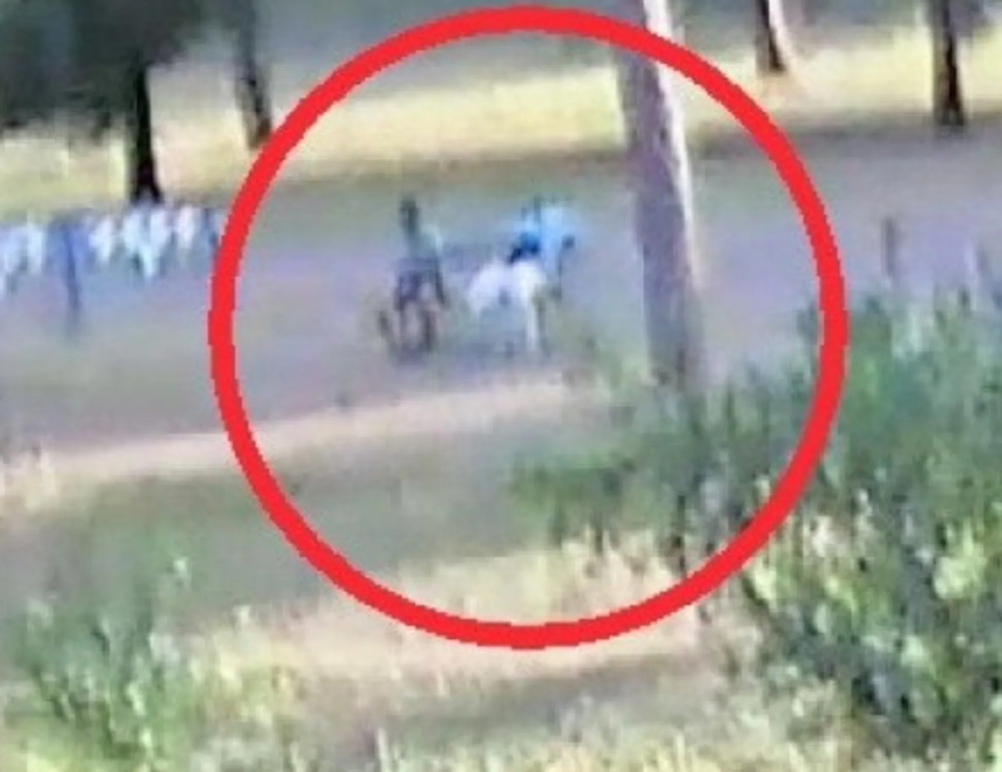 Leggi l'articolo: Diabolik, 7 arresti e un nome clamoroso: chi c'è dietro l'omicidio di Piscitelli