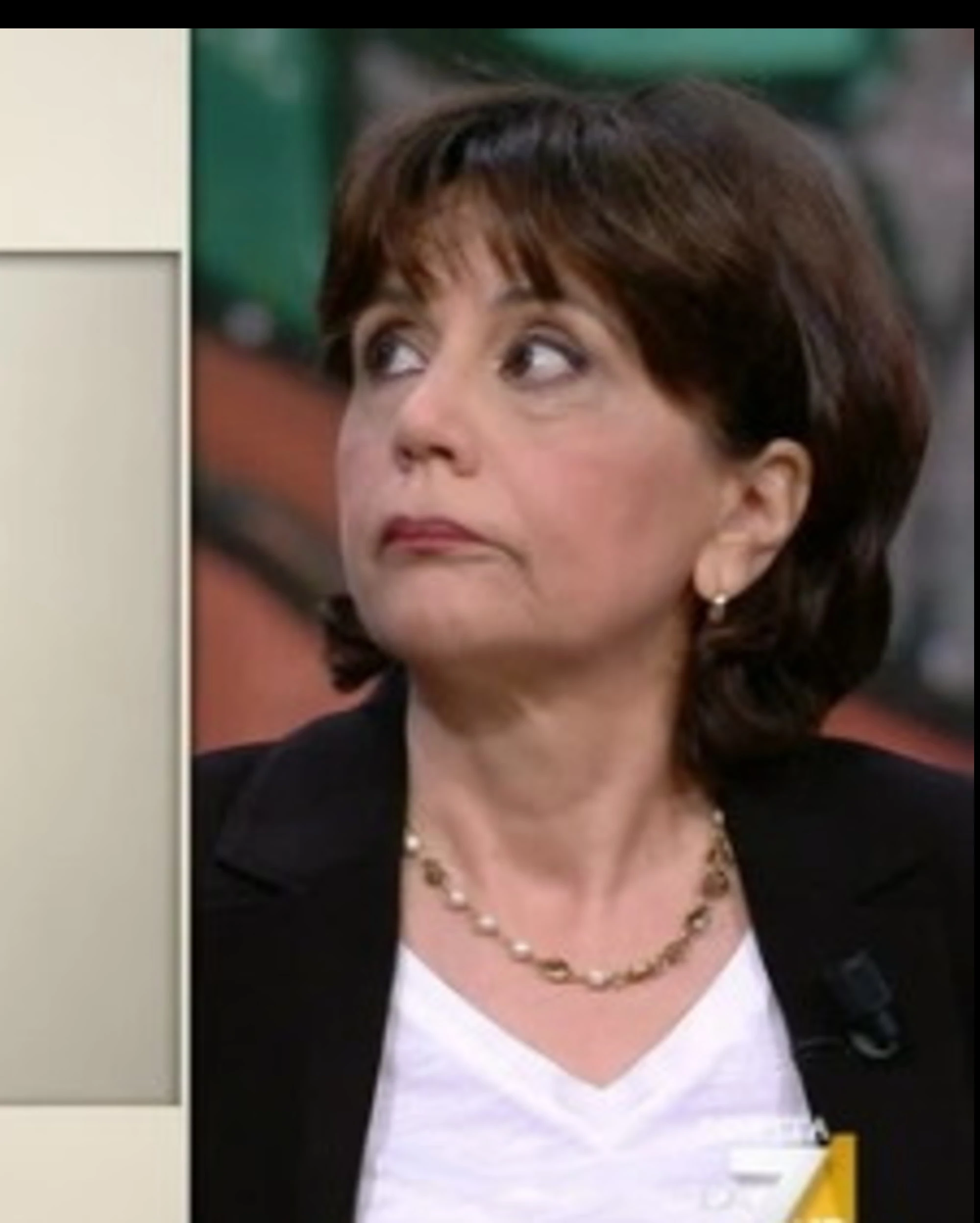 Donatella Di Cesare, il figlio di Tarantelli: "Da elettore di sinistra, provo sconcerto e disgusto"