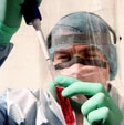 Il virus dell'influenza